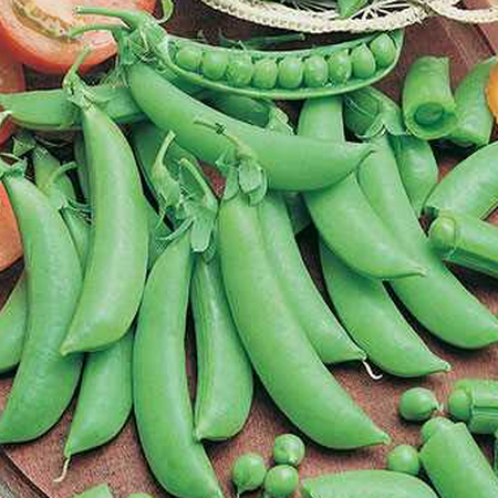 Cascadia, Pea Seeds - Packet (1 oz.) image number null