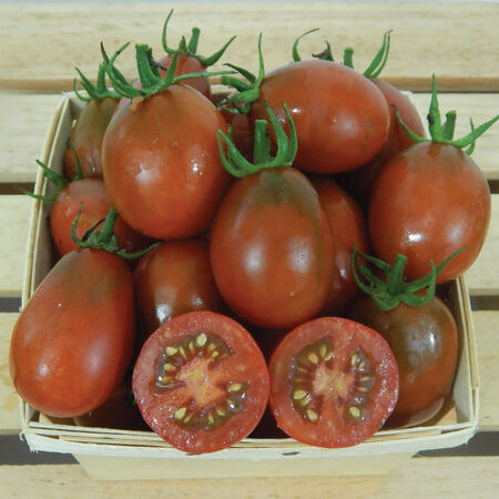 Black Plum, Tomato Seeds - Packet image number null