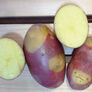 Pinto Gold, Seed Potatoes - 2 Pounds thumbnail number null