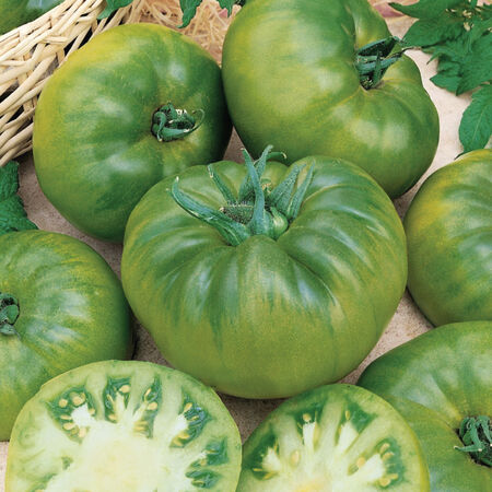 Cherokee Green, Tomato Seeds - Packet image number null