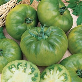 Cherokee Green, Tomato Seeds