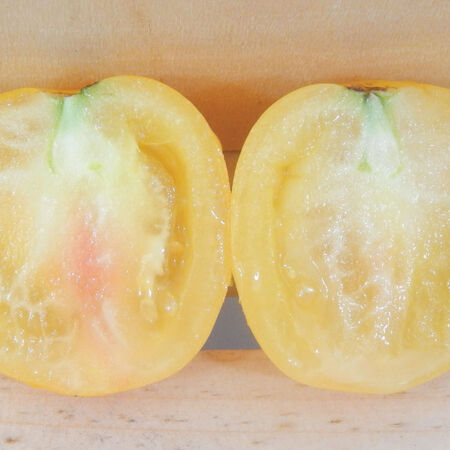 Taxi, Tomato Seeds - Packet image number null