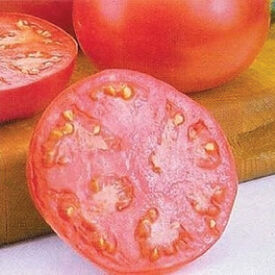 Pink Girl, (F1) Tomato Seeds