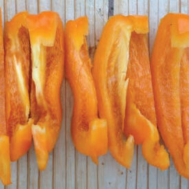 Orange King, Pepper Seeds