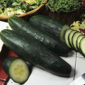 Marketer, Cucumber Seeds | Urban Farmer