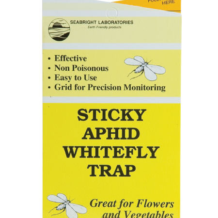 Sticky Aphid/Fly Traps Seed,  Pest and Disease - 25 Traps image number null