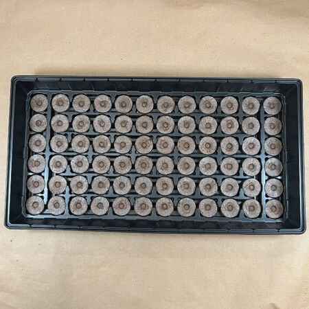 Greenhouse - 72 Slot Seed Starter, Seed Starting - 1 Greenhouse image number null