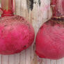 Cherry Belle, Radish Seeds - 25 Pounds thumbnail number null
