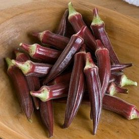 Red Burgundy, Okra Seed