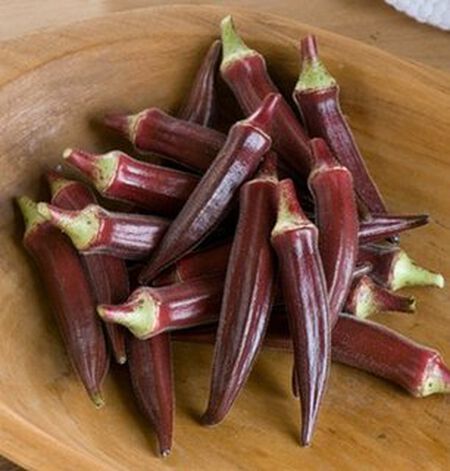 75 Red Burgundy Okra Seeds Super Prolific Healthy and Very Tasteful NON-GM