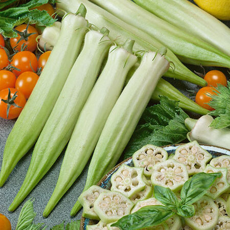 Blondy, Okra Seed - Packet image number null