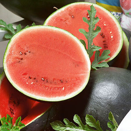Bush Sugar Baby, Organic Watermelon Seeds - Packet image number null