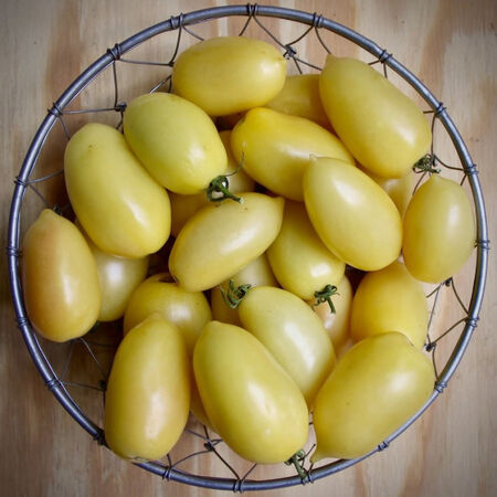 Cream Sausage, Tomato Seeds - Packet image number null