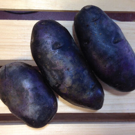 Magic Molly, Seed Potatoes - 2 Pounds image number null