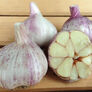 Georgian Fire, Garlic Seed thumbnail number null