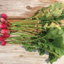 French Breakfast, Radish Seeds - 5 Pounds thumbnail number null