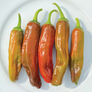 Pepperoncini Italian, Pepper Seeds - Packet thumbnail number null