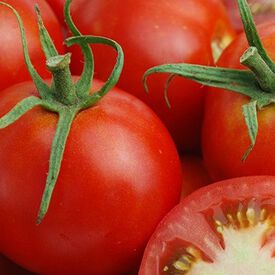 Glacier, Tomato Seeds