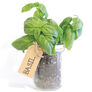 Mason Jar, Herb Kits - Mason Jar Herb Kit thumbnail number null