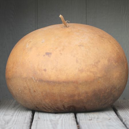 Bushel, Gourd Seeds image number null