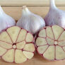 Chesnok Red, Garlic Seed - 1/4 Pound thumbnail number null