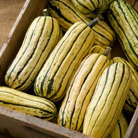 Delicata, Squash Seeds