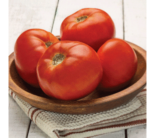 Dixie Red, (F1) Tomato Seeds