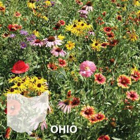 Ohio Blend, Wildflower Seed