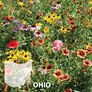 Ohio Blend, Wildflower Seed - 1 Ounce thumbnail number null