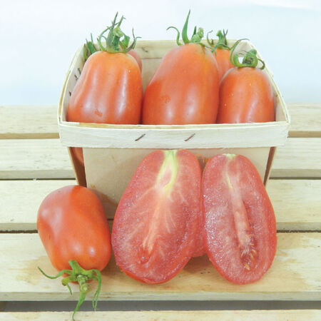 San Marzano, Tomato Seeds - Packet image number null