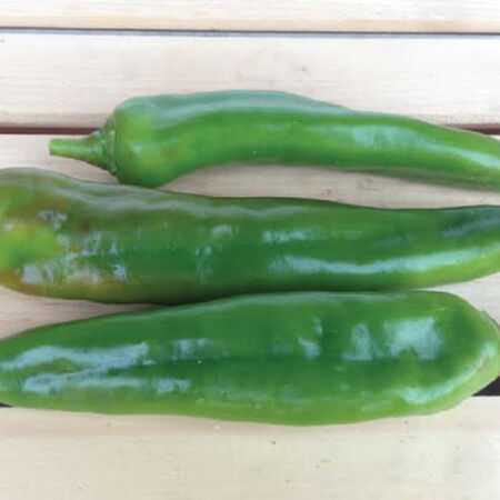 Anaheim Chili, Pepper Seeds - Packet image number null