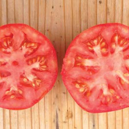 Marglobe Supreme, Tomato Seeds - Packet image number null