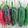 Early Jalapeno, Pepper Seeds - Packet thumbnail number null
