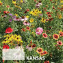 Kansas Blend, Wildflower Seed - 1 Ounce thumbnail number null