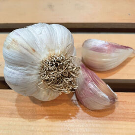 Montana Giant, Garlic Bulbs