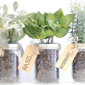 Mason Jar, Herb Kits