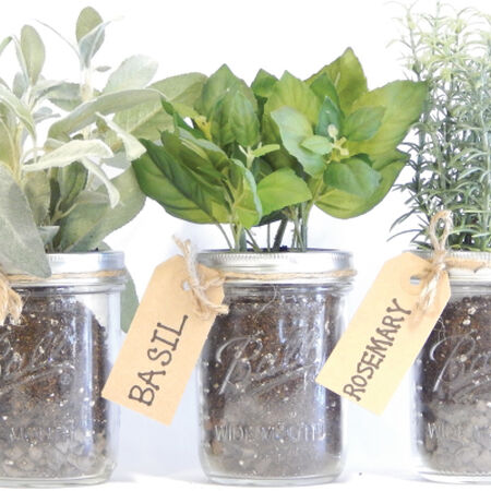 Mason Jar, Herb Kits - Mason Jar Herb Kit image number null