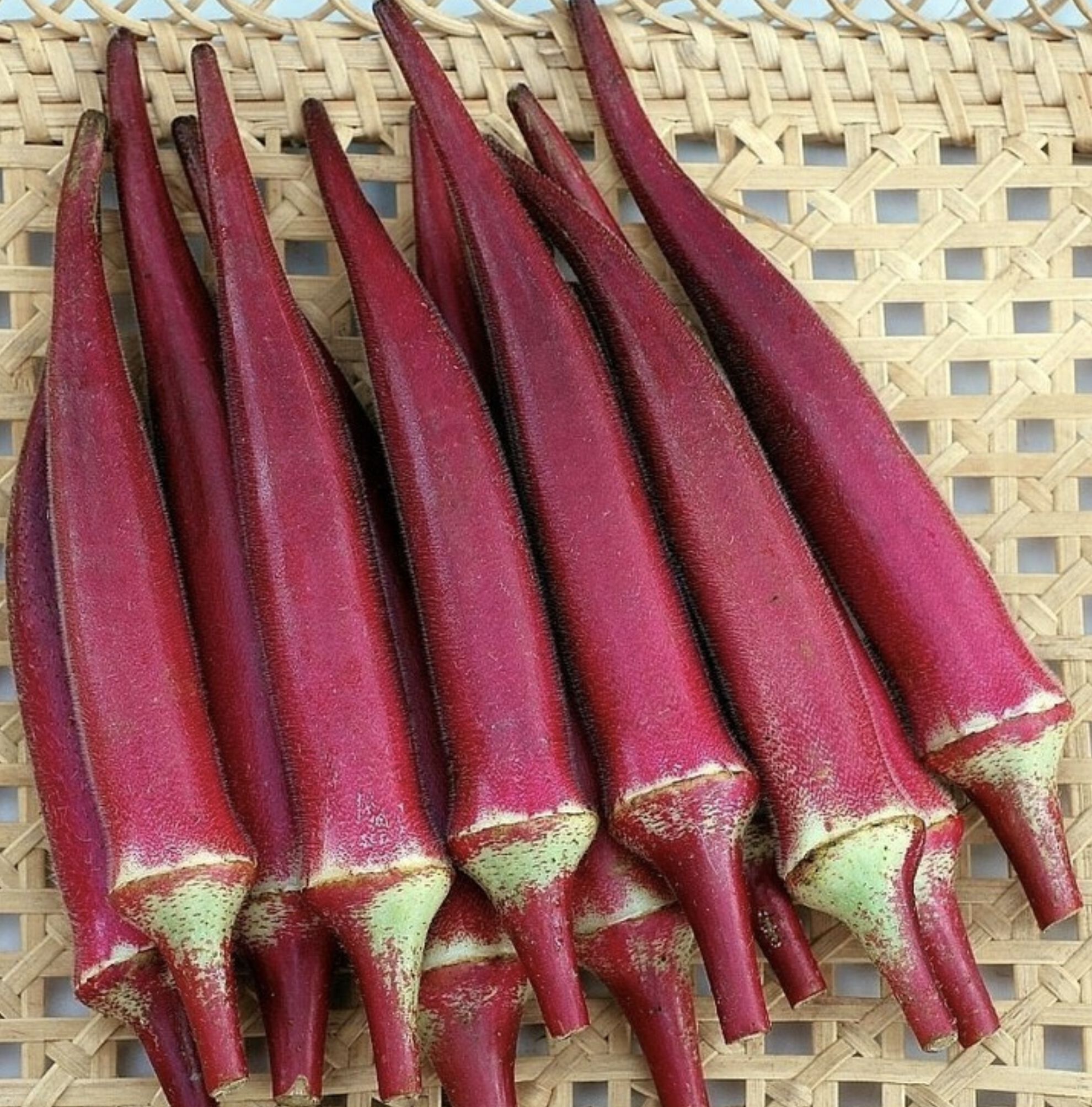 Urban Farmer Candle Fire Okra Seed