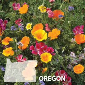 Oregon Blend, Wildflower Seed