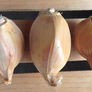 Elephant, Garlic Bulbs thumbnail number null