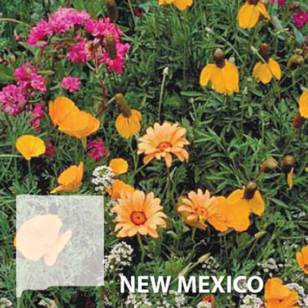 New Mexico Blend, Wildflower Seed - 1 Ounce image number null