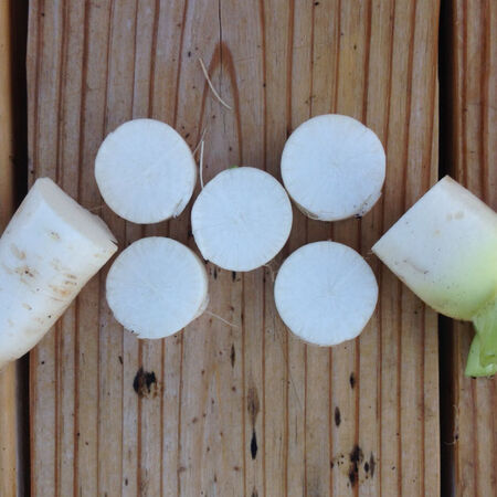 Minowase Daikon, Radish Seeds - Packet image number null