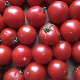 12+ Tomato Acidity Chart