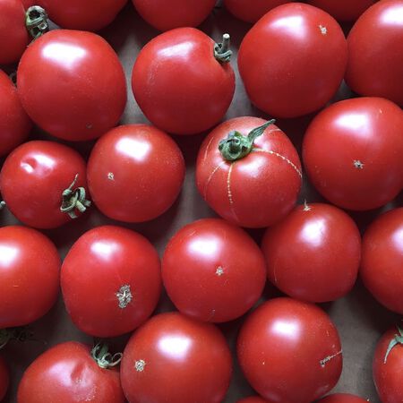 Jet Star, (F1) Tomato Seeds