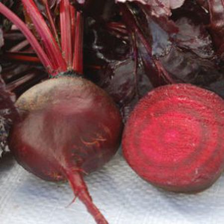 Bulls Blood, Beet Seeds - Packet image number null