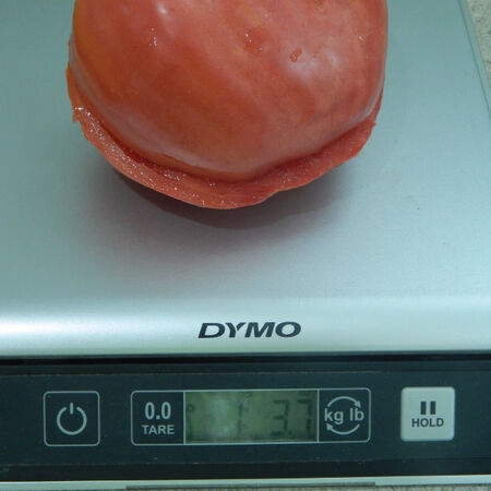 Red Oxheart, Tomato Seeds image number null
