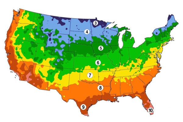 Grow In Your Zone - Southern Living Plants