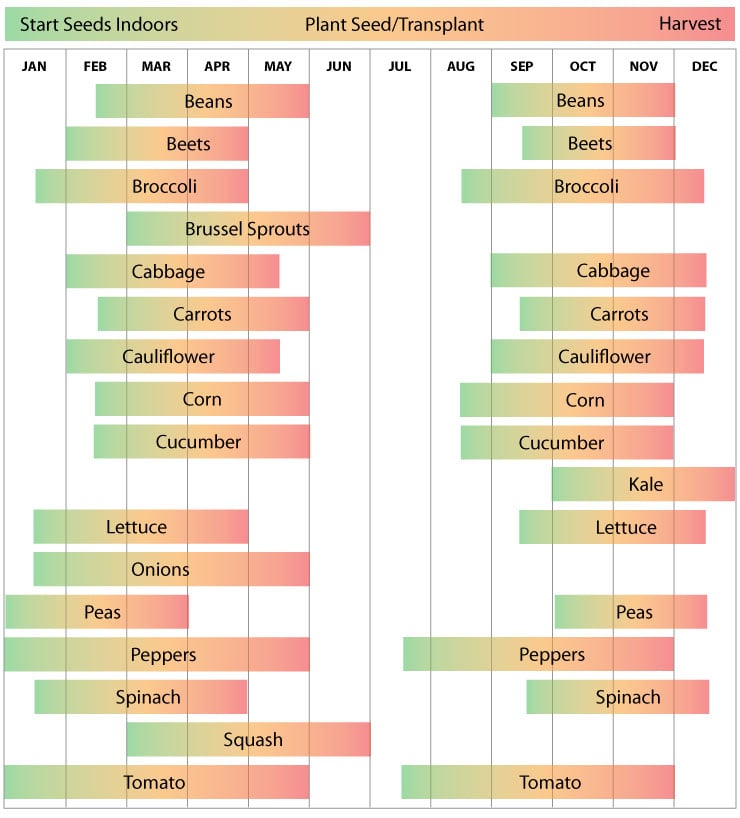 Zone 9 Washington Garden Schedule Zone 9 Washington Garden Schedule