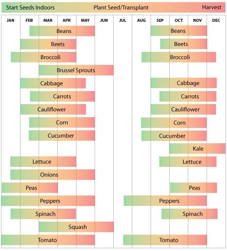 Zone 9 Nevada Garden Schedule