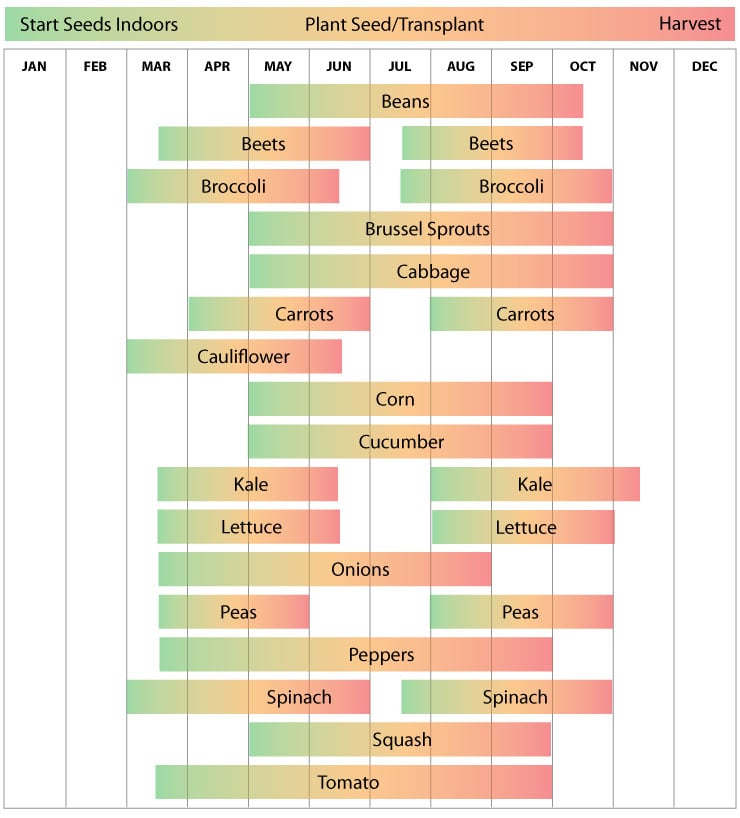 Connecticut Vegetable Planting Calendar